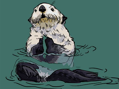 Otter otter patterns photoshop practice