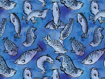 Harbor Seals Pattern