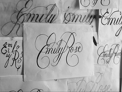 Emily Rose branding calligraphy conceptual costume design lettering logo script type water brush