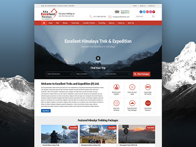 Excellent Himalaya Trek trekking and tour website website design