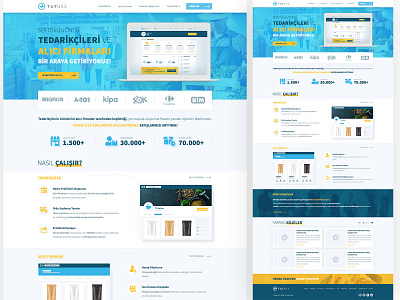 Tayuss Web Design design interface ui webdesign