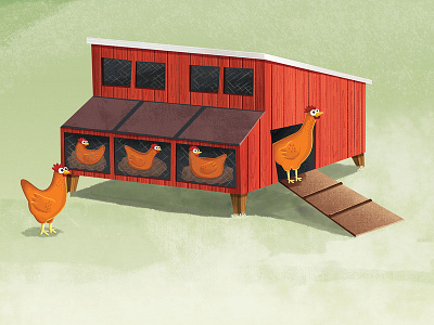 Hen House character chicken children book children book illustration childrens book hen hen house illustration picture book