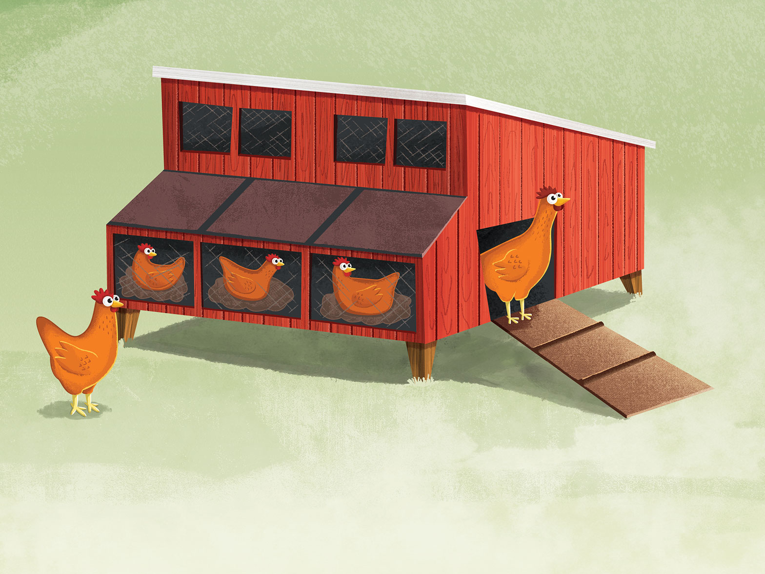 hen-house-by-mike-t-henderson-on-dribbble