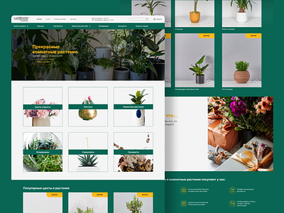 Plant Shop Website | Cactus.by branding design flowers plants ui ux web design