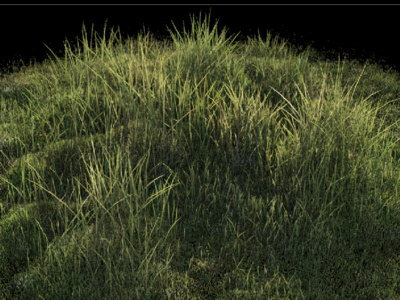Grass Procedural cg grass houdini modeling procedural vfx wip