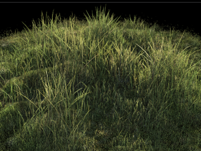 Grass Procedural