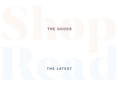 Heading Pairs blog bold brand branding chunky clean feminine lifestyle sans serif type typography