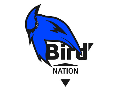 Mascot Logo 2018 -- Birdnation animal bird branding logo mascot