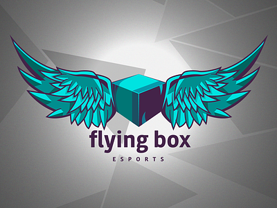 flying box