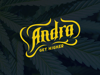 Cannabis company Andra logo - option 2 brand branding cannabis icon identity illustrator logo logotype ukraine vector weed