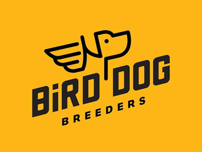 Bird Dog dog bird wings labrador hunting