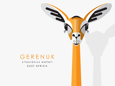 Gerenuk design gerenuk illustration vector