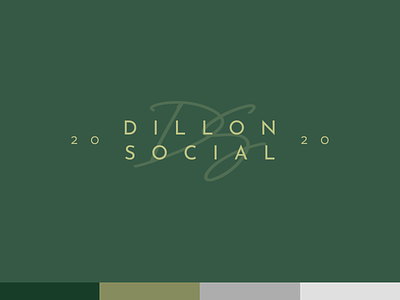 Dillon Social Logo Concept illustrator logo logo mark logotype social media vector