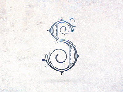 Golden Ratio 'S' golden ratio illustration letter s type typography vector