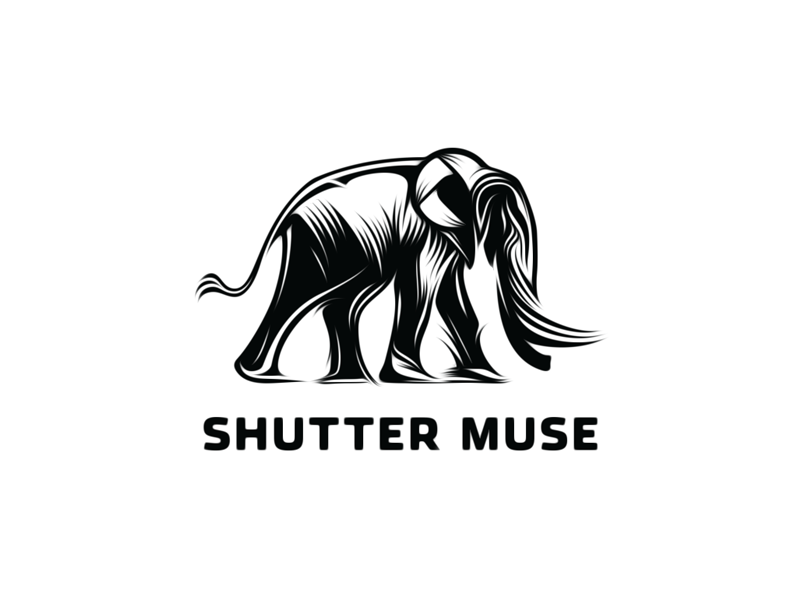 Shuttermuse - Final Logo shuttermuse elephant logo brand mark animal vector graphic linocut woodcut style