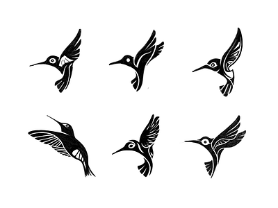 Hummingbird logo design study sketches