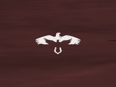 Raven animal bird brandmark cresk gert van duinen idgram logo design negative space raven
