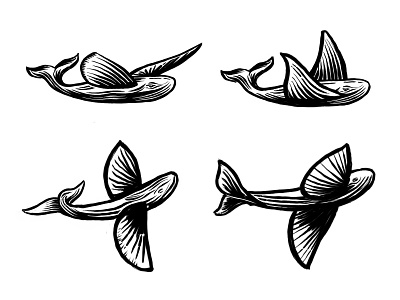 Flying Whale (pt2) animal animal logo branding brandmark custom logo design design process identity identity designer logo logo design logo designer mark process sketch symbol designer whale whale logo