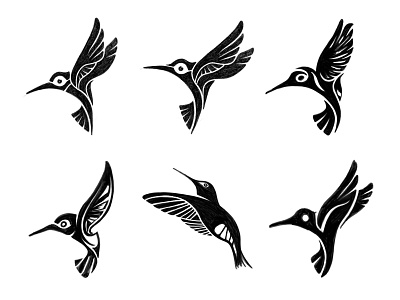 Hummingbird sketches