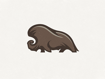 Muskox