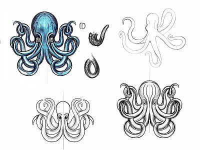Octopussy Sketches animal branding identity logo mark octopus progress sketch