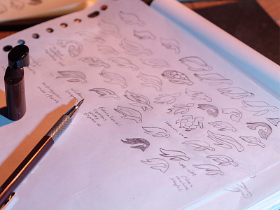 Turtle Sketches animal branding identity logo mark pencil process progress sketch sketches turtle