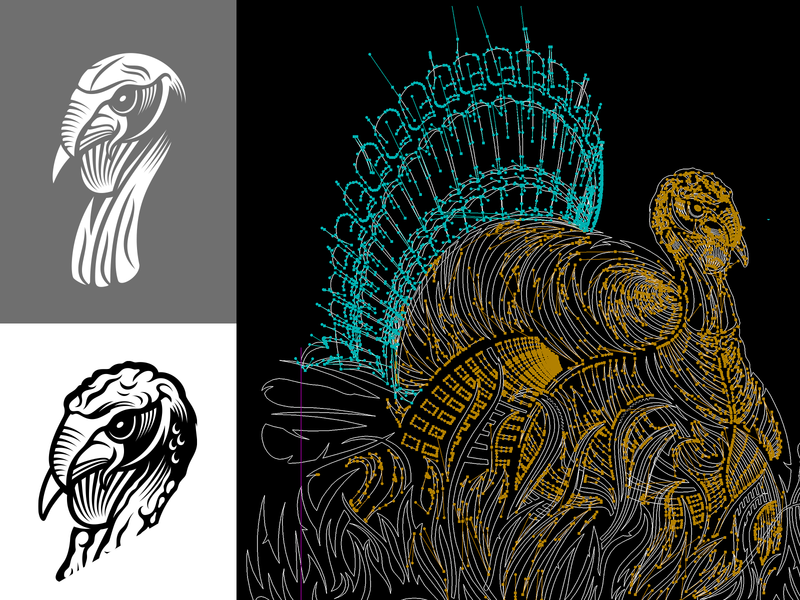 Illustration Process of a Turkey animal identity identity designer illustration packaging turkey