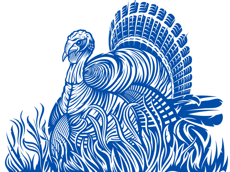 Wild Turkey Vector Packaging Artwork by Gert van Duinen on Dribbble