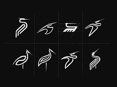 White Stork Logo Design Sketches