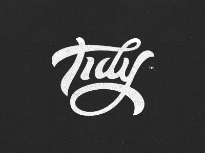 Tidy - Logotype by Gert van Duinen on Dribbble