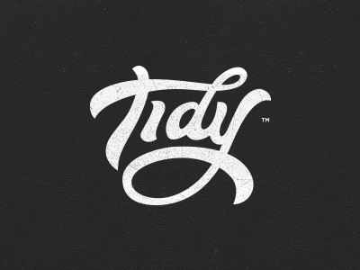 Tidy - Logotype brush lettering logo logotype pentel tidy type