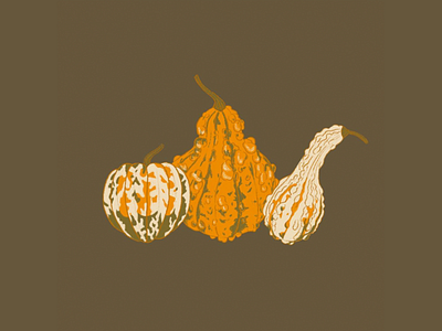 Gourds design digital illustration drawing illustration procreate procreate app