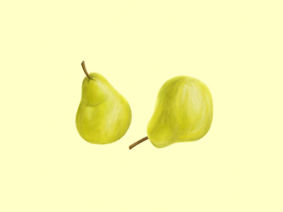 Pears design digital illustration drawing illustration procreate procreate app