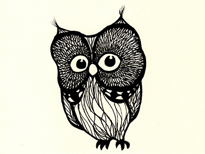 Owl illustration owl
