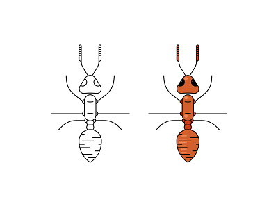 Bugs – Ant ant bugs illustration lineart