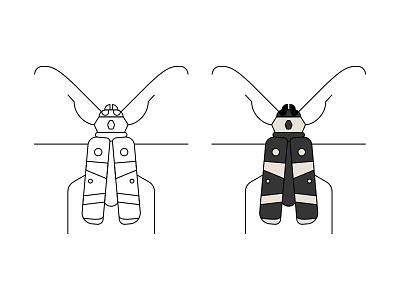 Bugs – Beetle beetle bugs illustration lineart