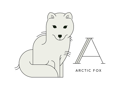 Arctic Fox animals fox illustration lineart