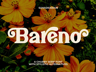Bareno modern retro serif font vintage serif