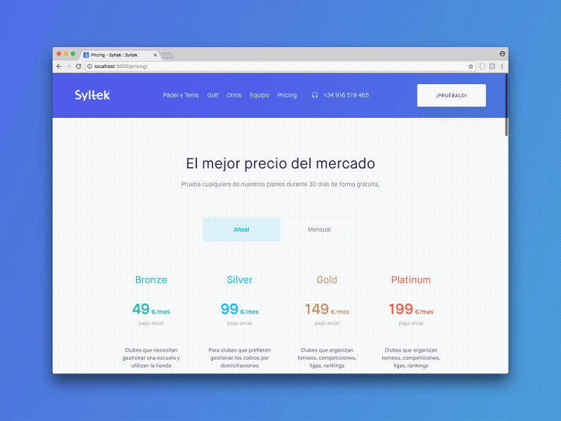 Pricing - Syltek website