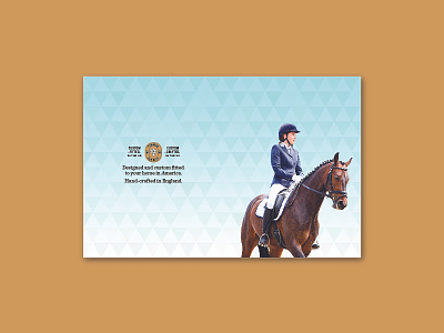 Paragon Saddles Promo Poster equestrian poster saddles signage