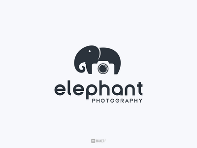 elephat photography camera elephant