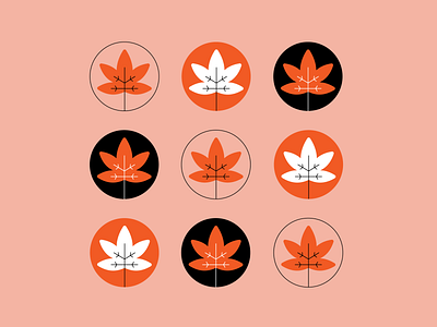 Maple Leaf Pattern branding design flowers graphic design illustration leaf logo design maple