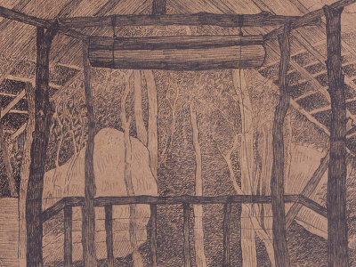 Pidurangala Tree House - pen and ink drawing drawing illustration