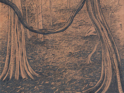INKTOBER - 'Pidurangala' - final illustration art drawing illustration inktober landscape nature pen and ink tree