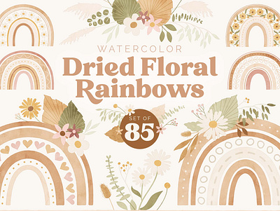Dried Floral Rainbows Graphic Collection clipart graphic design graphics illustration watercolor