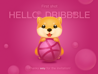 Hello Dribbble ! 2018