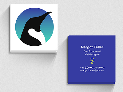 Business Card aurora aurora australis branding business card card design penguin