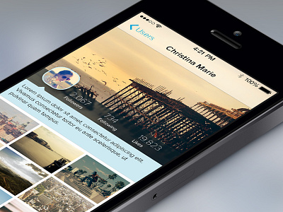 User Profile app flat ios iphone photo profile ui ux