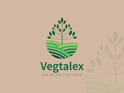 Vegtalex branding design graphic design illustration logo logo design motion graphics typography vector