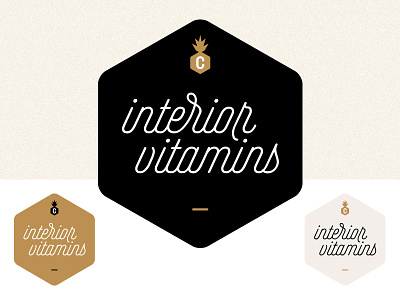 interior vitamins design hexagon interior logo pineapple rounded stiepelteken type vitamins